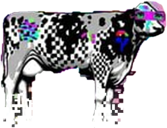 The cow